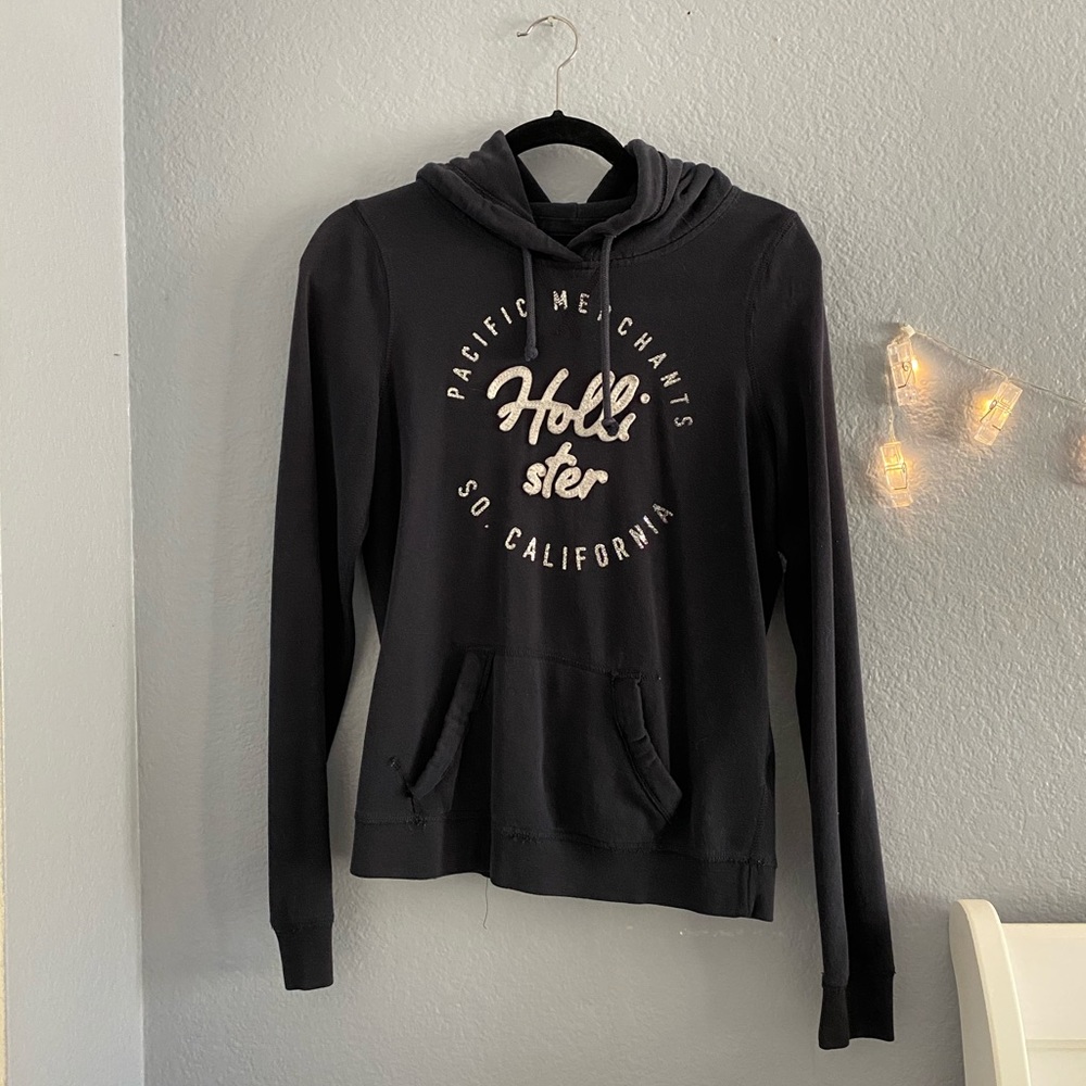 holister  hoodie